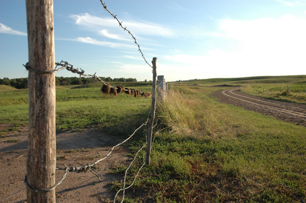 The problem with June: Tractor fixin’& honey-dos aren’t my cup of tea