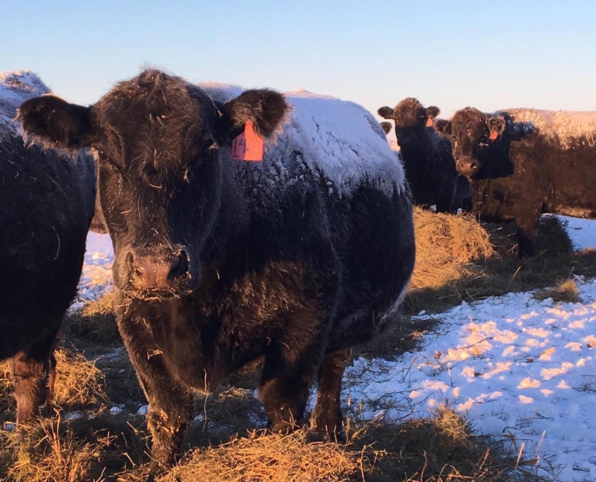 4 reasons to call your ag lender 4 reasons to call your ag lender