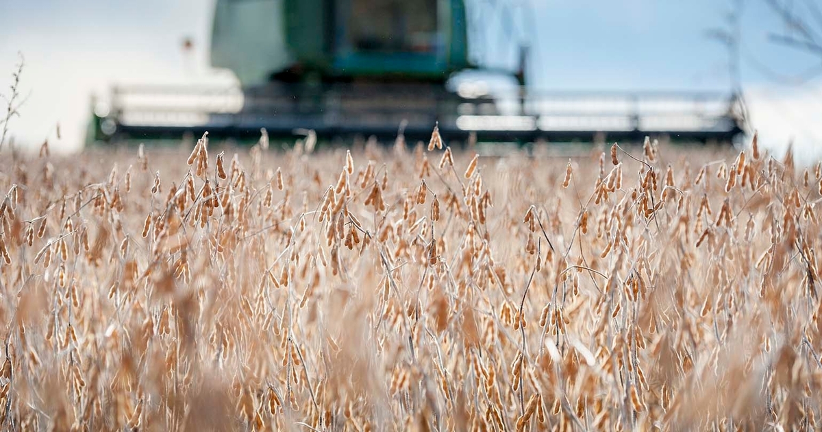 Farm income prospects weigh on farmer sentiment