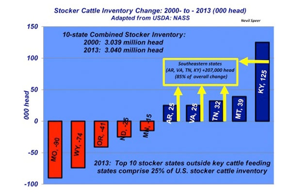 Industry At A Glance: Stocker Cattle Inventory Shifting To Southeast States