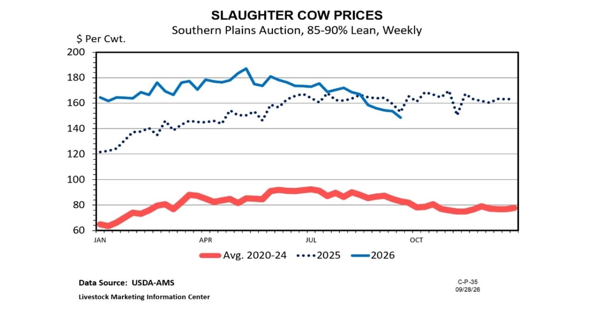 The cull cow market struggles to find stability