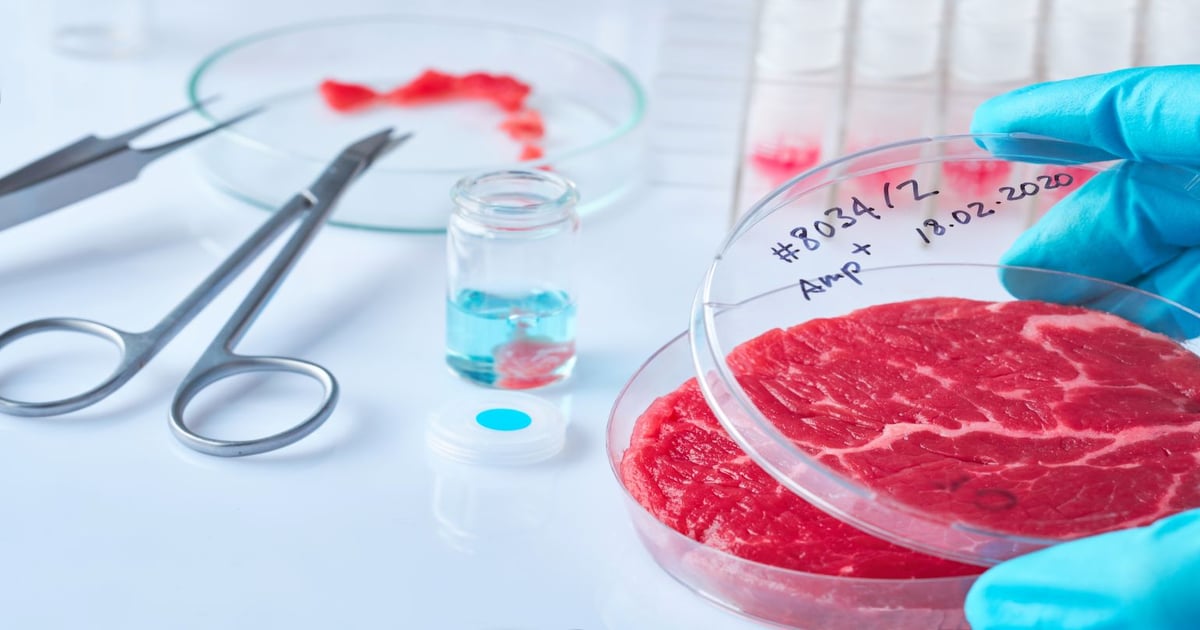 Cultured meat: 8 challenges in production