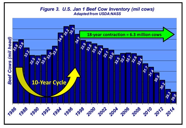 beef cow inventory
