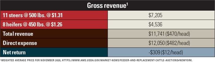 Gross revenue table