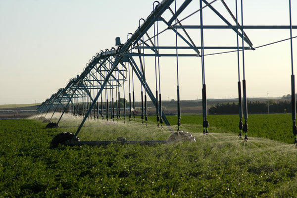 Is agriculture the bad boy in the nation’s water use?