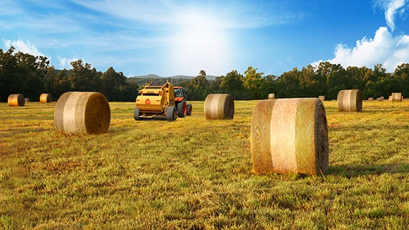 Would you like netwrap, twine or plastic with your bale?