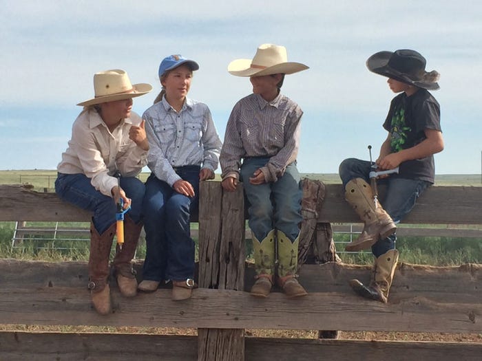 70 photos of hard-working beef producers