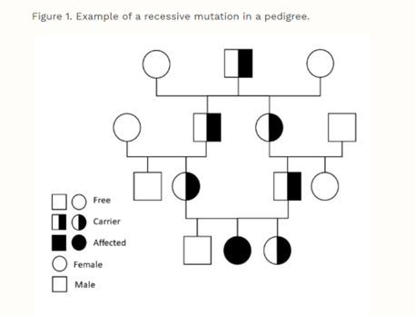 fig_1_recessive_mutation.png