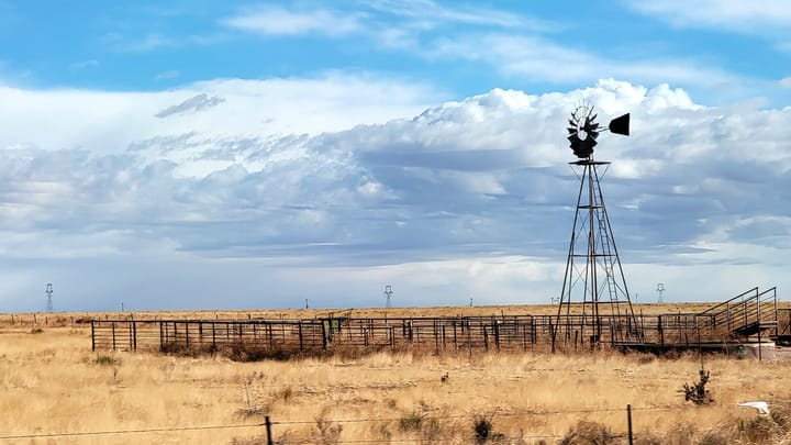 Cattle and beef market summer struggles
