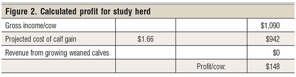 caluculated profit for study herd