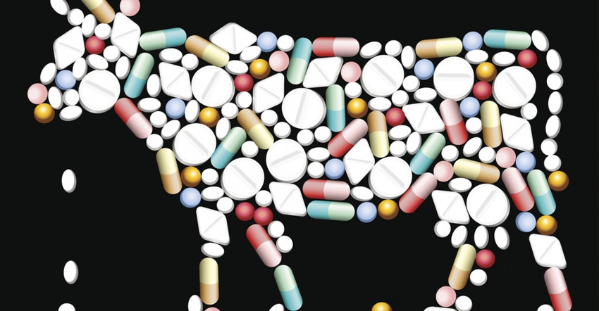 antibiotic-use-cattle-ThinkstockPhotos-498879021 copy.png
