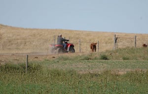 Website Keeps Farmers And Ranchers Apprised Of Safety, Health Concerns