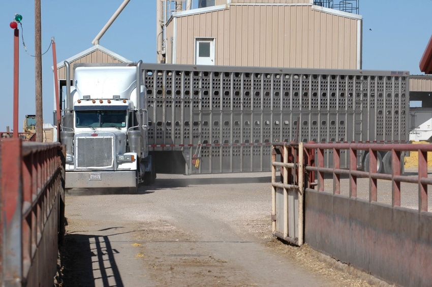 Cattle truck Cattle truck