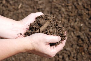 M/M Feedlot Composts To Solve Expansion Dilemma
