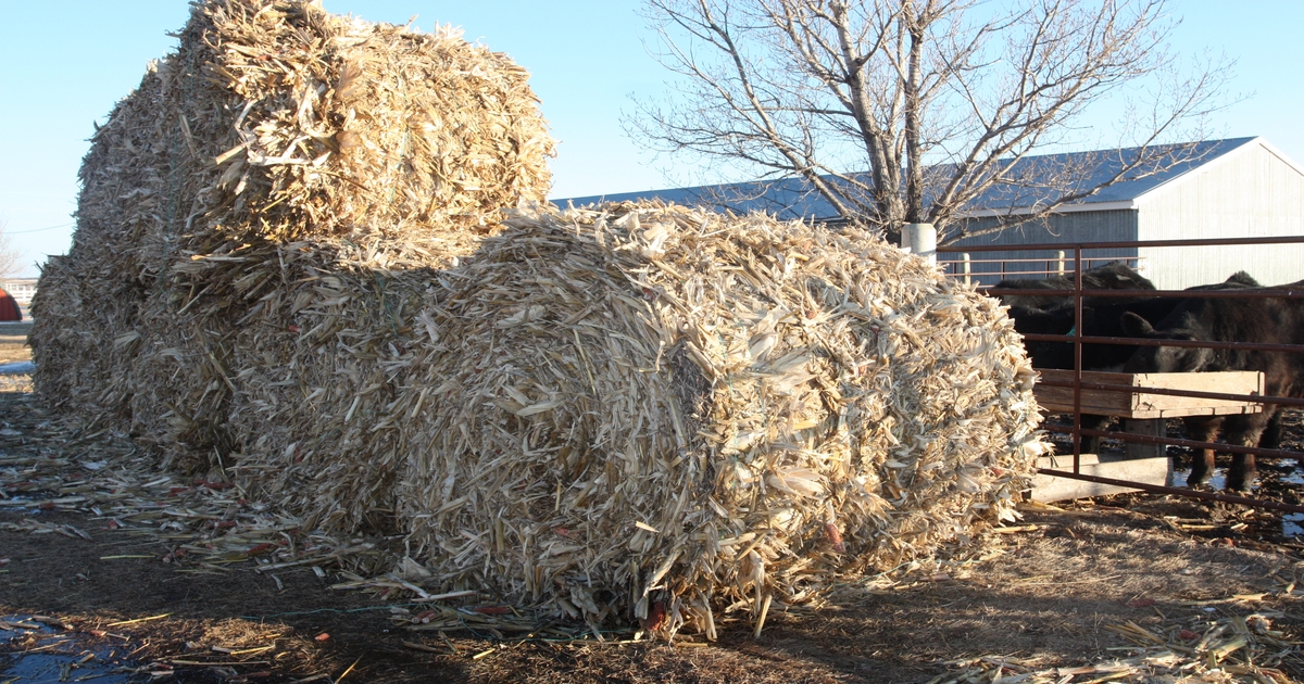 Remove the twine every time