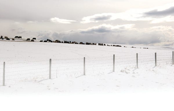 winter-ranch-istock.jpg