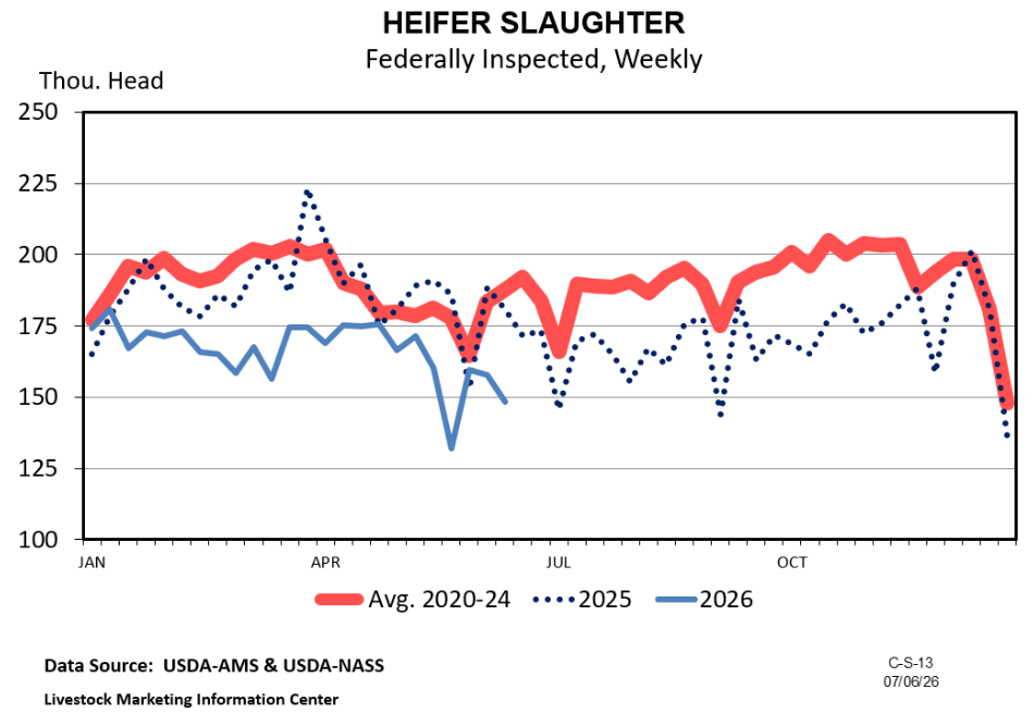 A mid-year look at cattle slaughter trends