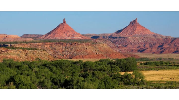 Pulling the bears ears