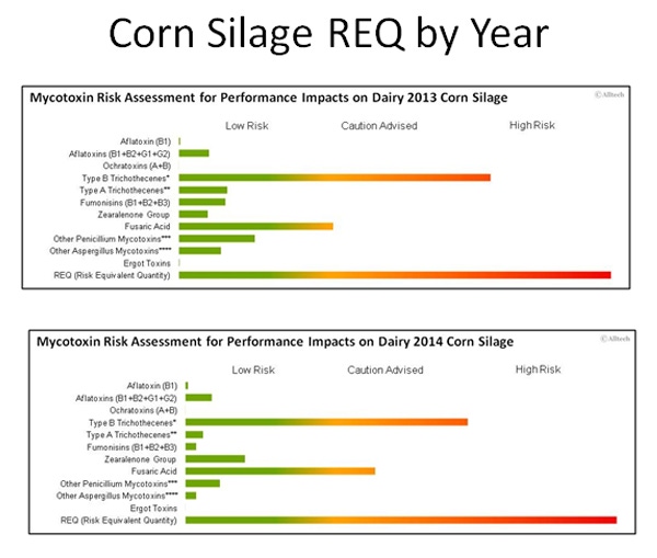 Is your corn silage problem-free? Monitor it to make sure