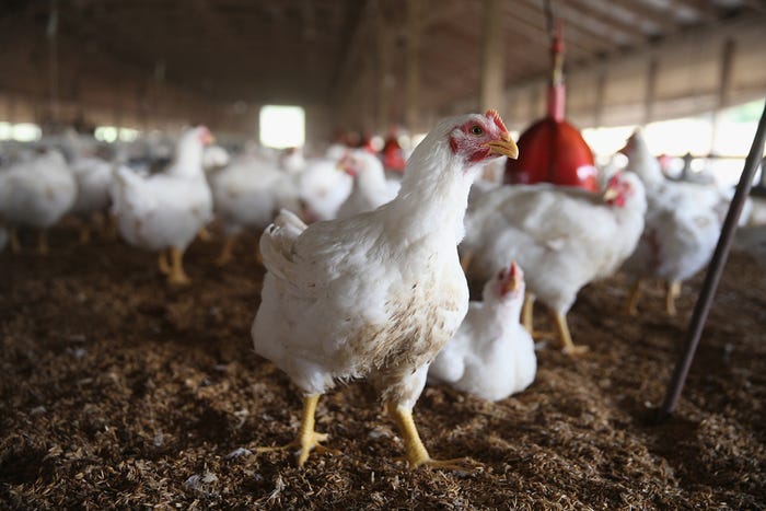 6 Trending Headlines: BQA certification success, PLUS: How will Avian flu impact supply & prices?