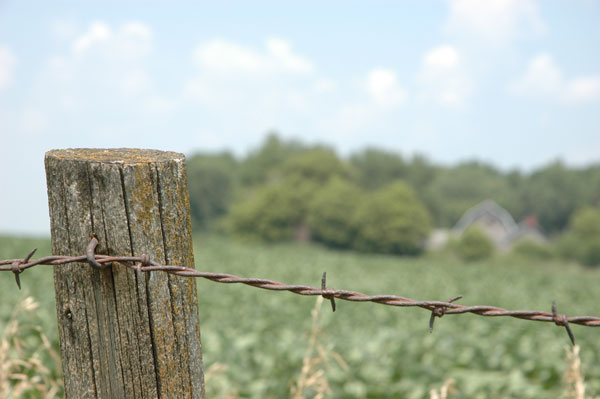 Commentary: Pondering the many sides of sustainability Commentary: Pondering the many sides of sustainability