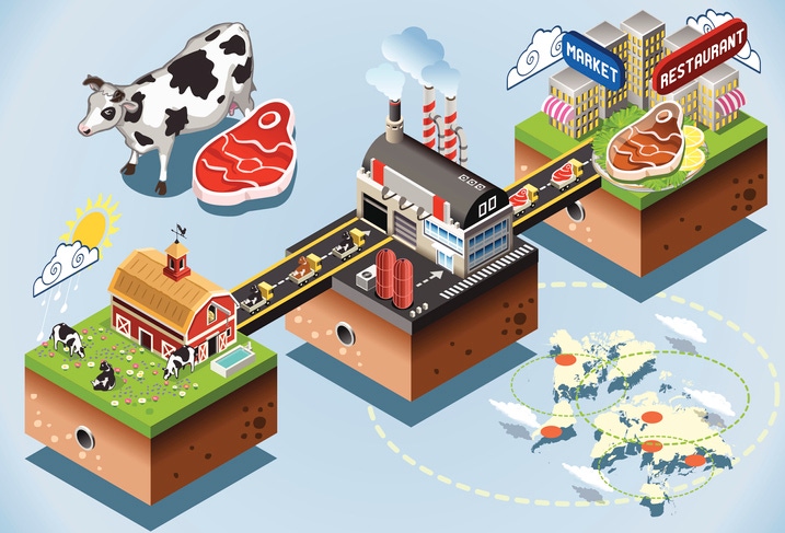 Beef distribution chain Beef distribution chain