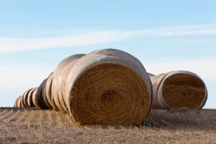 The hay situation