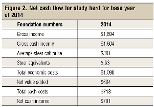 net cash flow for study herd
