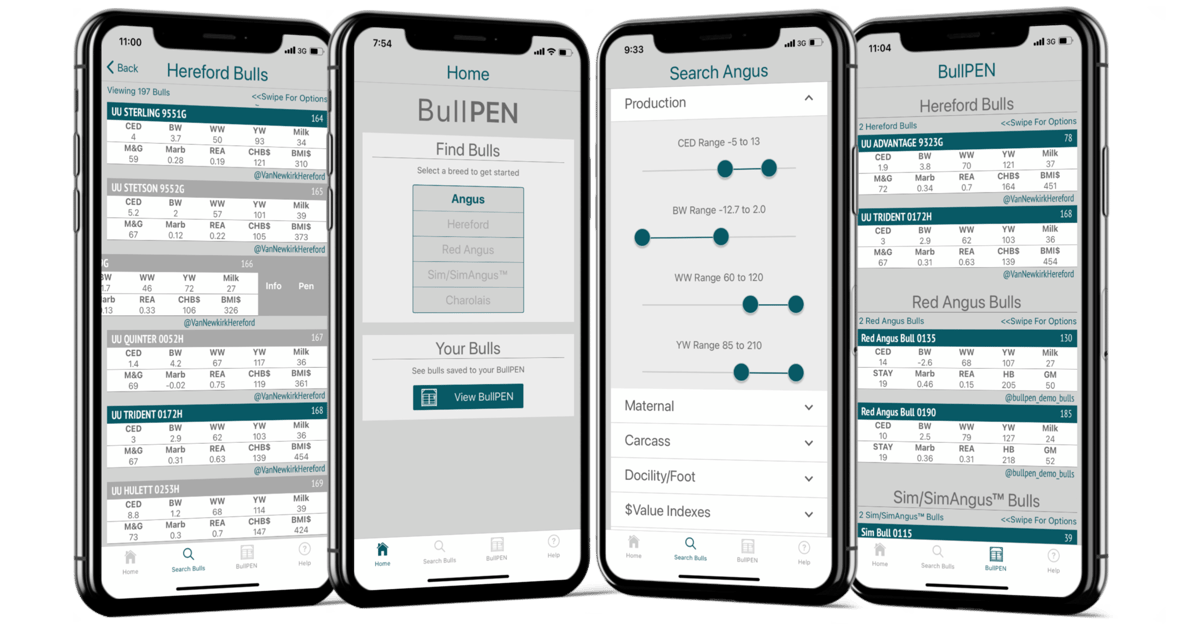 BullPEN app: Simplification was key