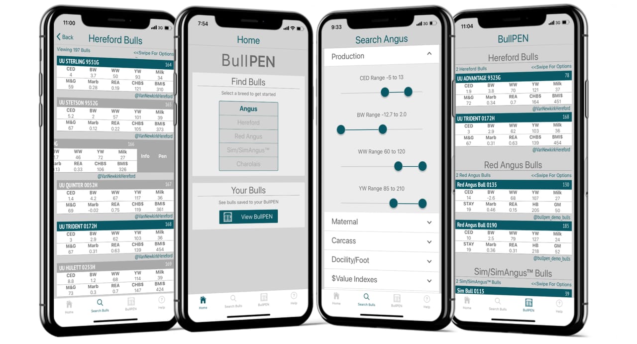 Bullpen Platform BullPEN app: Simplification was key