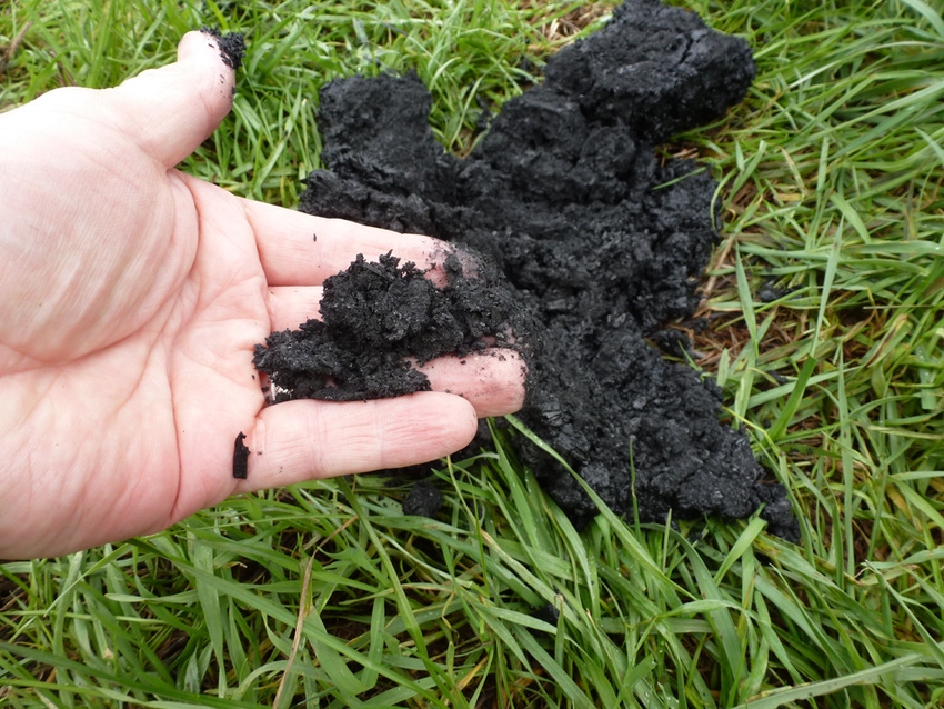 Research suggests biochar could be a game-changer in manure storage