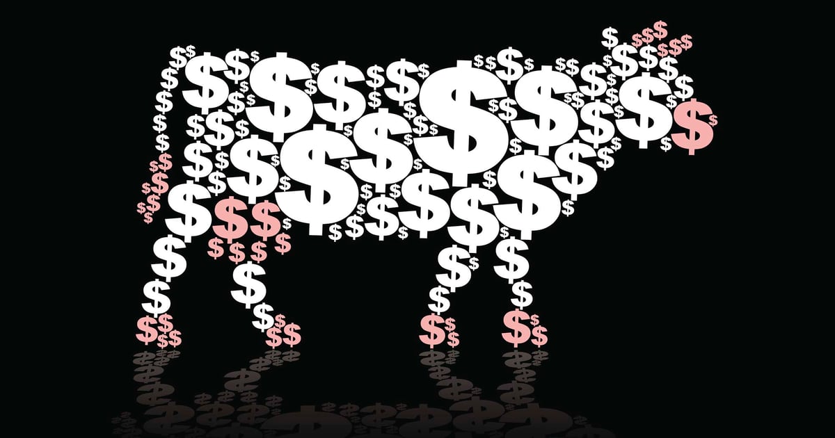 Value differentiation is the future