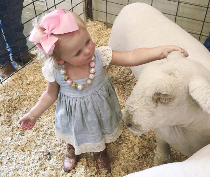 10 ways you know its county fair season 10 ways you know its county fair season