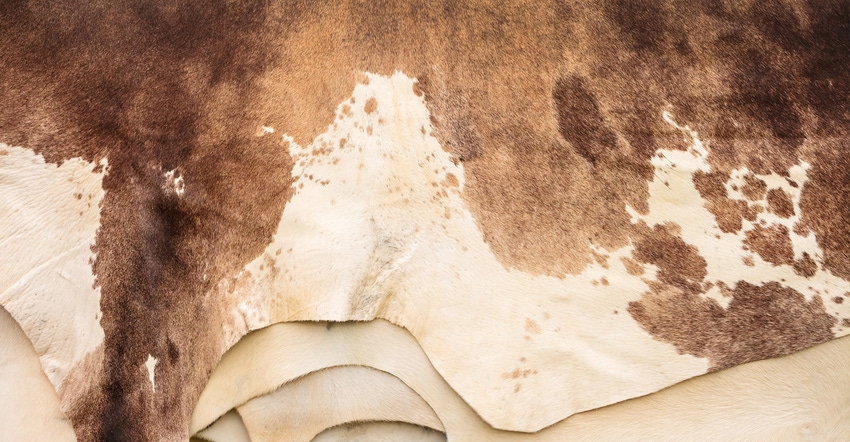 Cowhides Cowhides