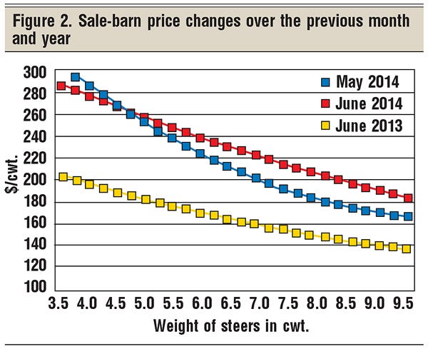 sale barn cattle price change