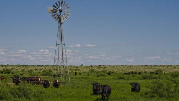 7 ranching operations awarded top honors for stewardship, sustainability