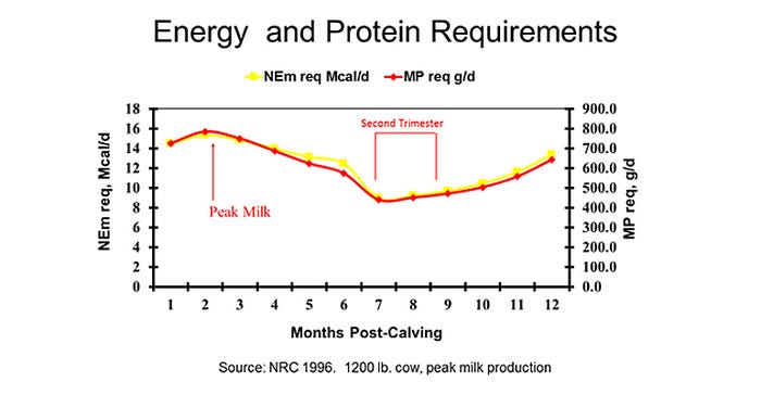 Ridley-Crystalyx-Energy-Protein-Requirements.jpg