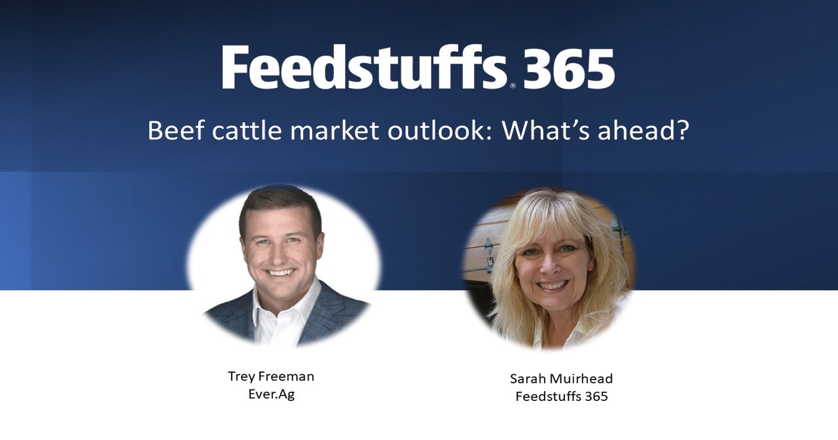 Beef market outlook: What’s ahead?