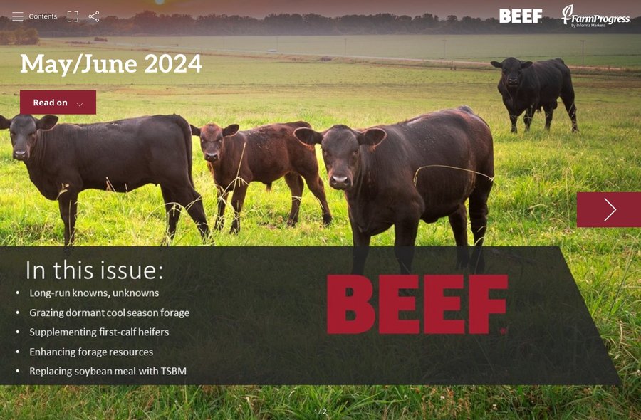 May/June 2024 edition of BEEF now available - Vimarsana News
