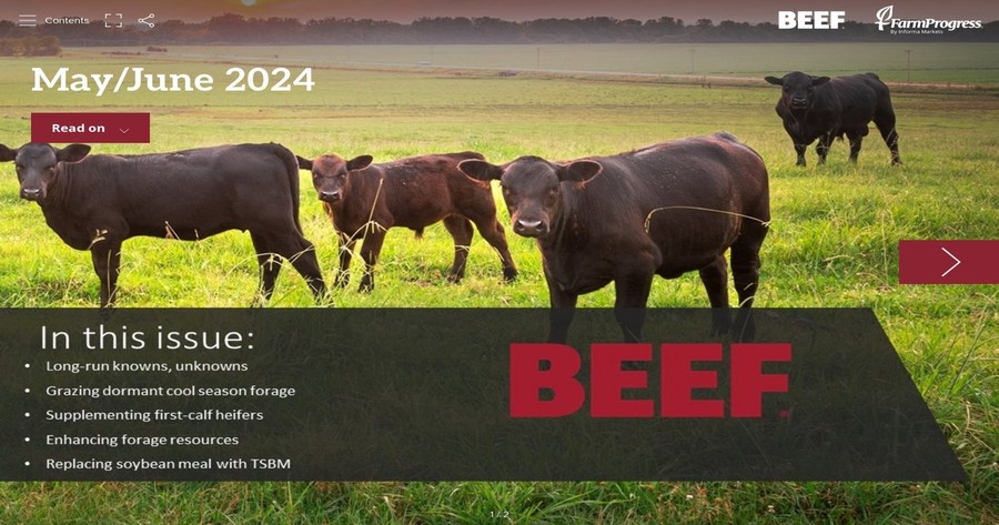 May/June 2024 edition of BEEF now available