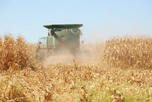 Corn Stocks Estimated Higher