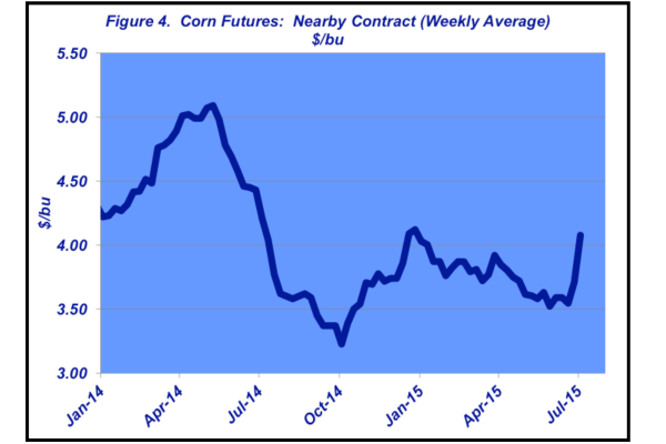 corn futures