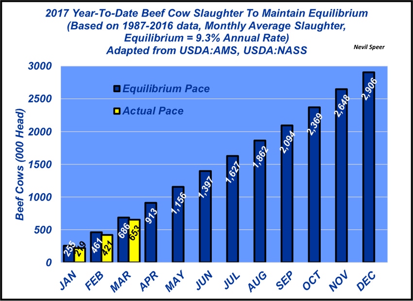 What’s ahead for beef cow slaughter?