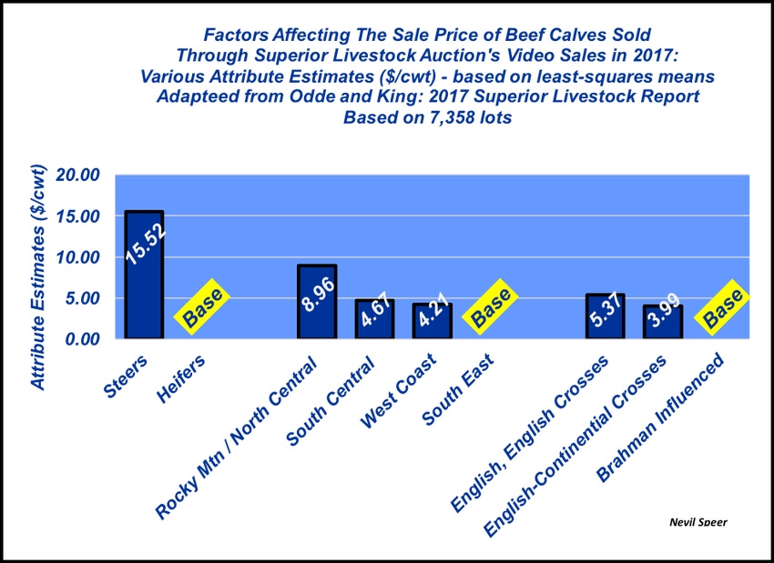 Know the landscape when pricing your calf crop