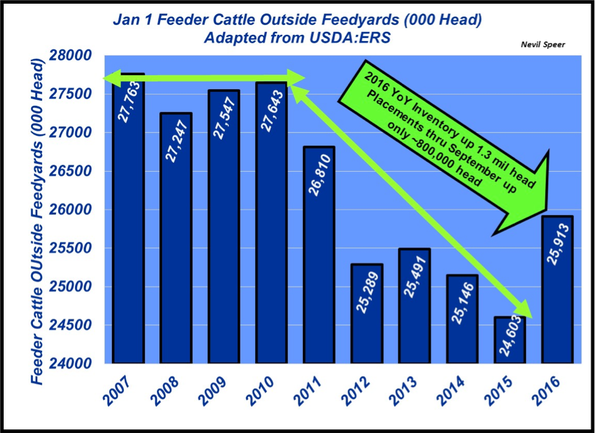 Cattle on feed report