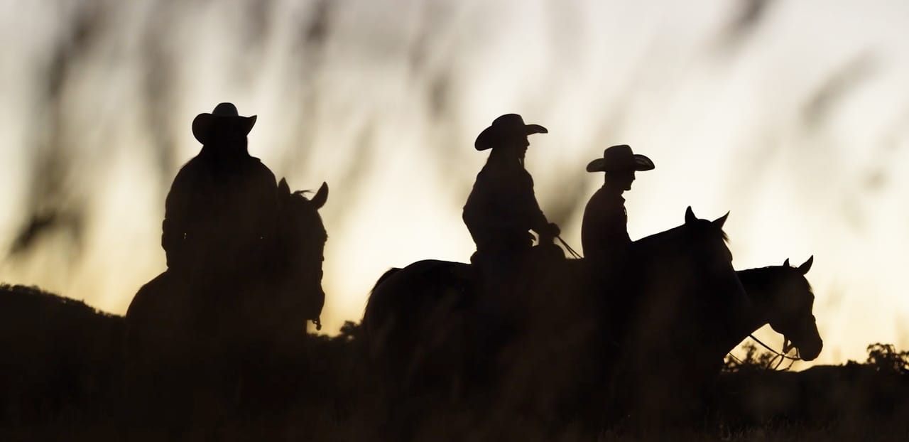 California Ranchers California beef producers launch Resilience 2020 campaign