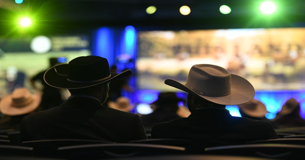 Texas & Southwestern Cattle Raisers Association names new leadership