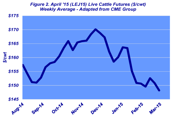 live cattle prices