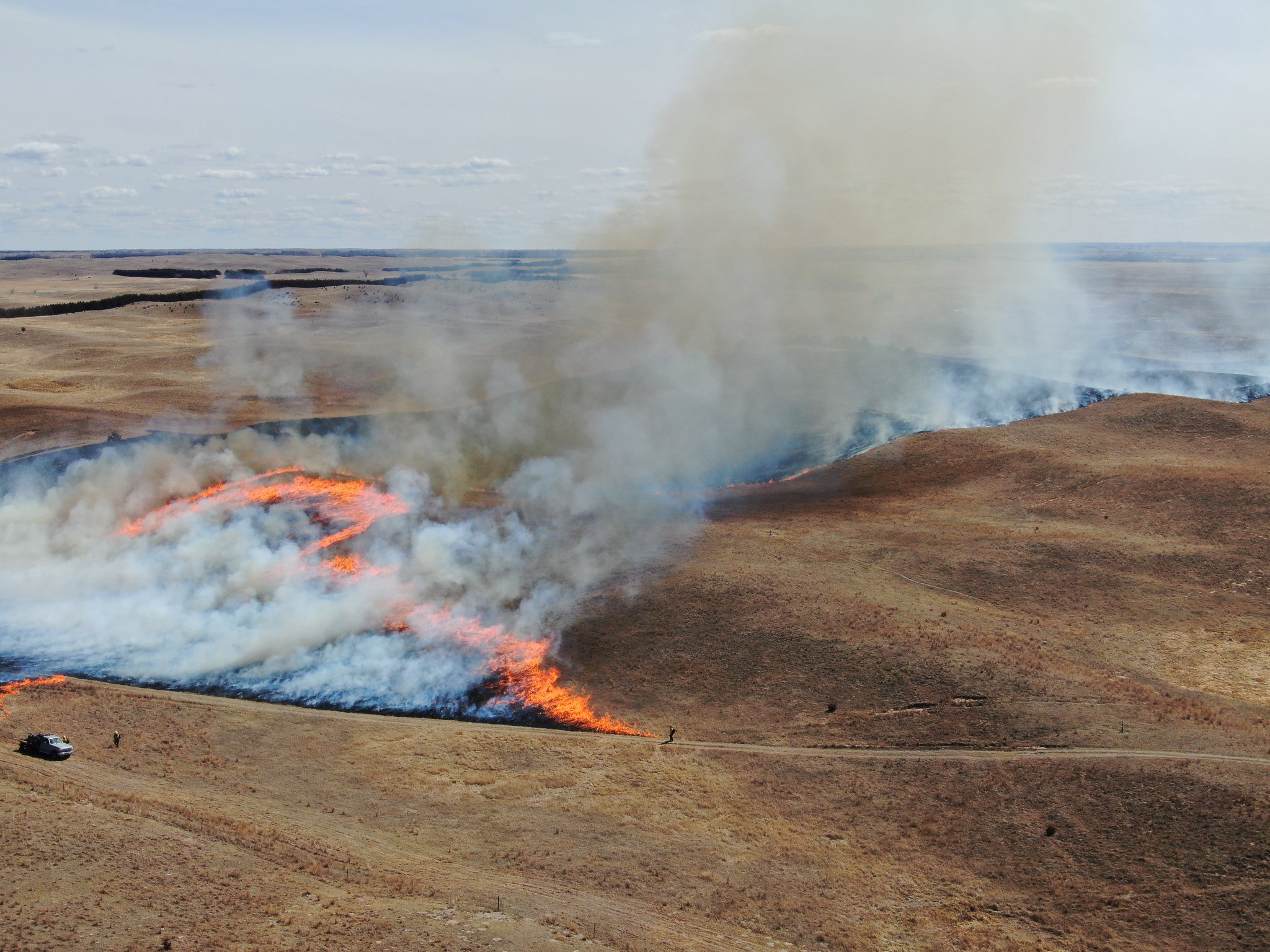 Resources available for Nebraska producers affected by wildfires - Vimarsana News