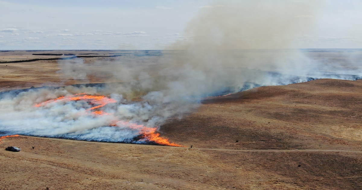 Resources available for Nebraska producers affected by wildfires